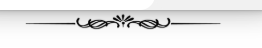 Decorative floral divider ornament